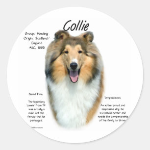 Adesivo Redondo Design da história do Collie (sable áspero)