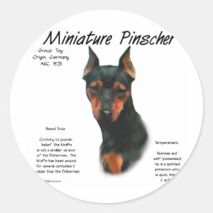 Adesivo Redondo Design da história do Pinscher diminuto