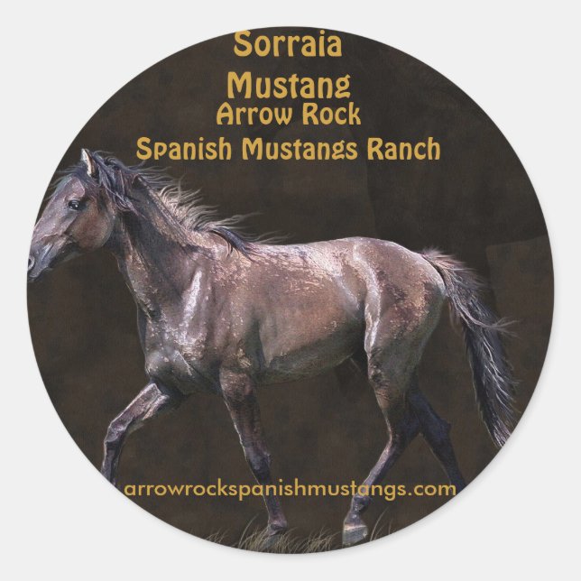 Adesivo Redondo Design de equinos amantes de cavalos (Frente)