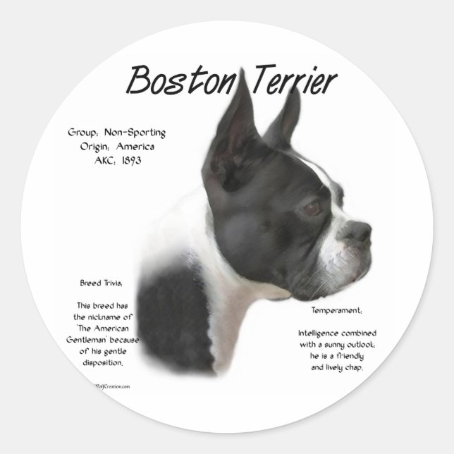 Adesivo Redondo Design de História de Boston Terrier (Frente)