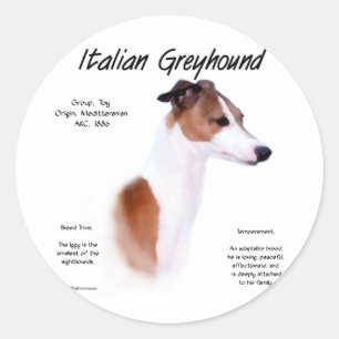 Adesivo Redondo Design de História de Greyhound Italiano