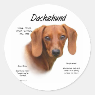Adesivo Redondo Design de História do Dachshund (suave)