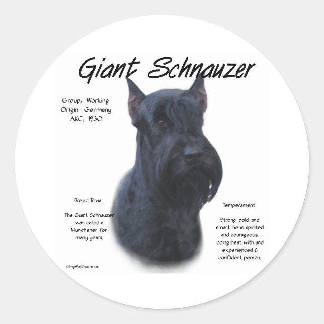 Adesivo Redondo Design de História do Giant Schnauzer (Frente)