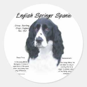 Adesivo Redondo Design de História do Inglês Springer Spaniel (pre