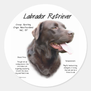 Adesivo Redondo Design de História do Labrador Retriever (chocolat