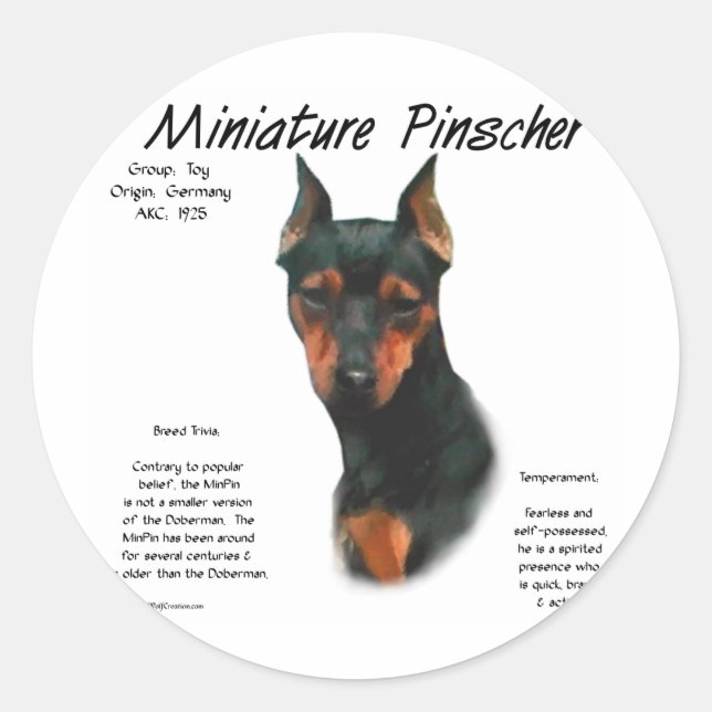 Adesivo Redondo Design de histórico do Pinscher Miniatura (preto/f (Frente)