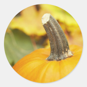 Adesivo Redondo Design de outono