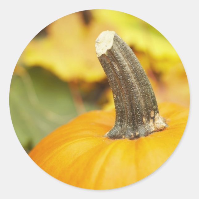 Adesivo Redondo Design de outono (Frente)