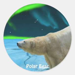 Adesivo Redondo Design de Ursos para Animais e Animais Selvagens