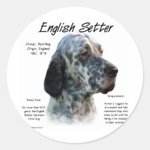 Adesivo Redondo Design do Inglês Setter History