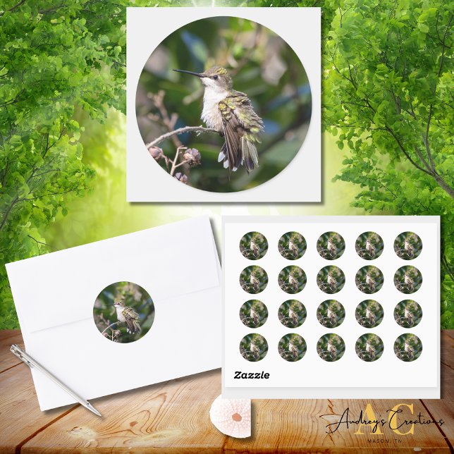 Adesivo Redondo Design Hummingbird #4Q7A5304 (Criador carregado)