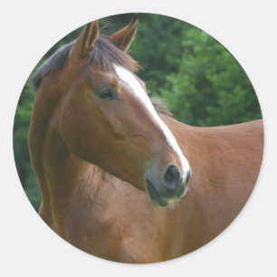 Adesivo Redondo Design o seu próprio círculo personalizado de auto