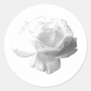 Adesivo Redondo Design Rosa Branco
