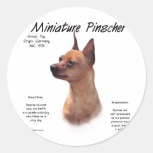 Adesivo Redondo Design (vermelho) da história do Pinscher diminut