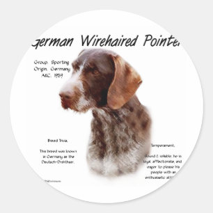 Adesivo Redondo Design Wirehaired alemão da história do ponteiro