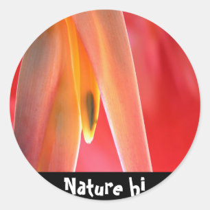 Adesivo Redondo desligar