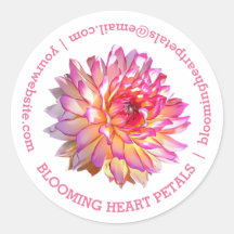 Detalhes do Contato Comercial Dahlia, Gigante Rosa