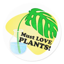 Deve Amar Plantas Monstera