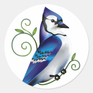 Adesivo Redondo Dia do Bluejay