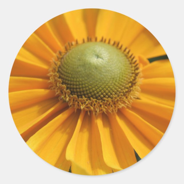 Adesivo Redondo Dia do Sol (Frente)