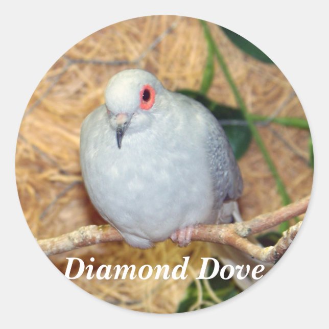 ADESIVO REDONDO DIAMOND DOVE (Frente)