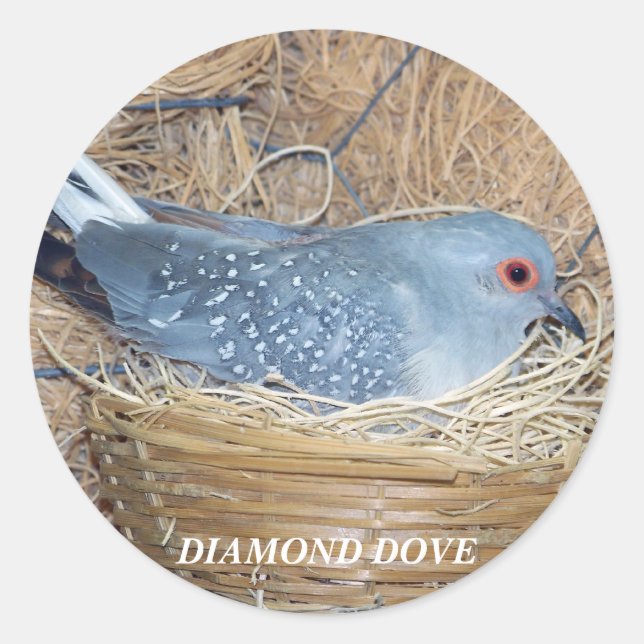 ADESIVO REDONDO DIAMOND DOVE ON NEST STICKER (Frente)