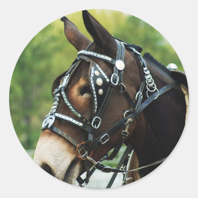 Adesivo Redondo dias de multa (Frente)