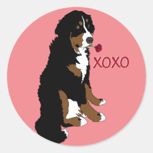Adesivo Redondo Dias de os namorados Cão de Montanha Bernese