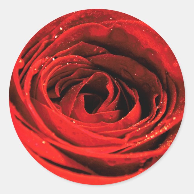 Adesivo Redondo Dias de os namorados da rosa vermelha (Frente)