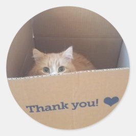 Adesivo Redondo Diego, o Gato Obrigado Sticker