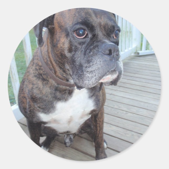 Adesivo Redondo Diesel (Frente)