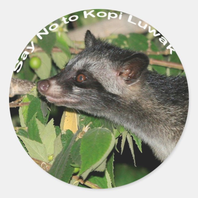 Adesivo Redondo Diga não ao Kopi Luwak Sticker (Frente)