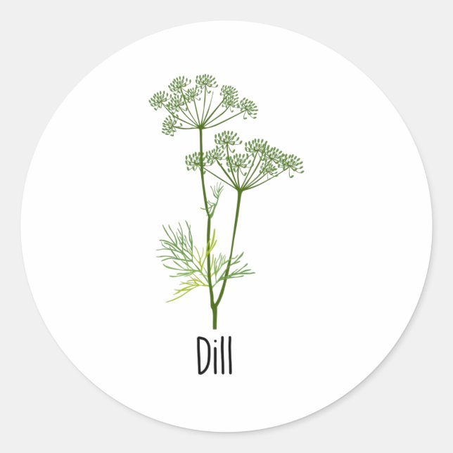 Adesivo Redondo Dill Spices Herb (Frente)