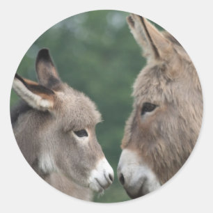 Adesivo Redondo Dinky Donkey