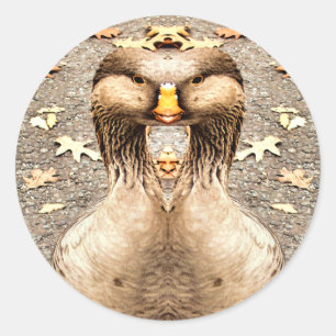 ADESIVO REDONDO DIVERTIMENTO ANIMAL