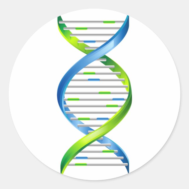 ADESIVO REDONDO DNA (Frente)