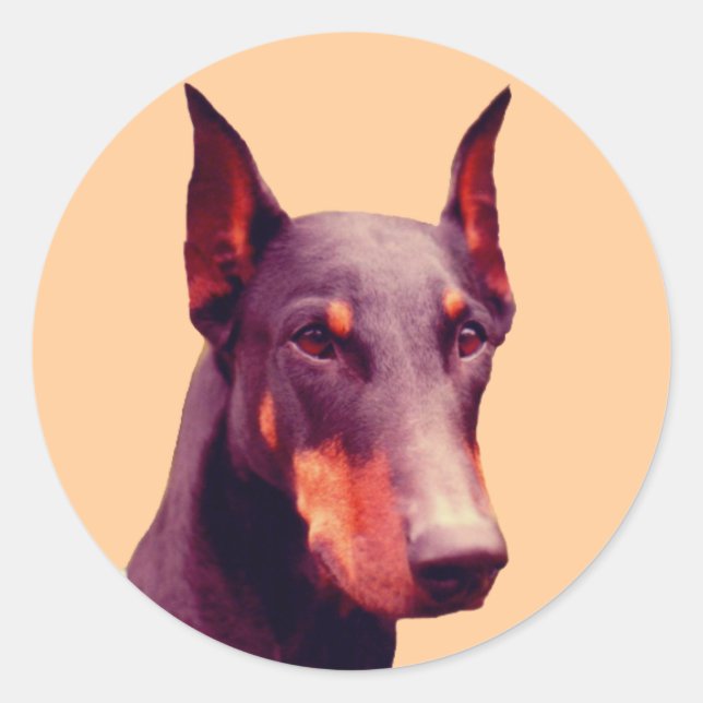 Adesivo Redondo Doberman Face Dog (Frente)