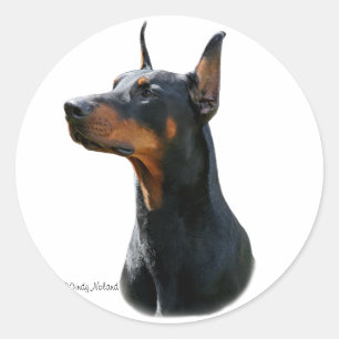 Adesivo Redondo Dobermann Pinscher cabeça-preta Sticker
