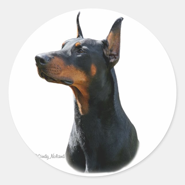 Adesivo Redondo Dobermann Pinscher cabeça-preta Sticker (Frente)