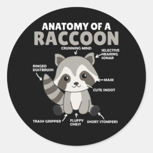 Adesivo Redondo Doce Raccoon Explicação Anatomia De Um Raccoon