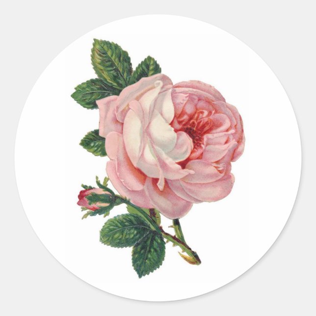 Adesivo Redondo Doce Rosa Victorian Sticker (Frente)