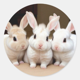 Adesivo Redondo Doce Trio de Fluffy Bunnies