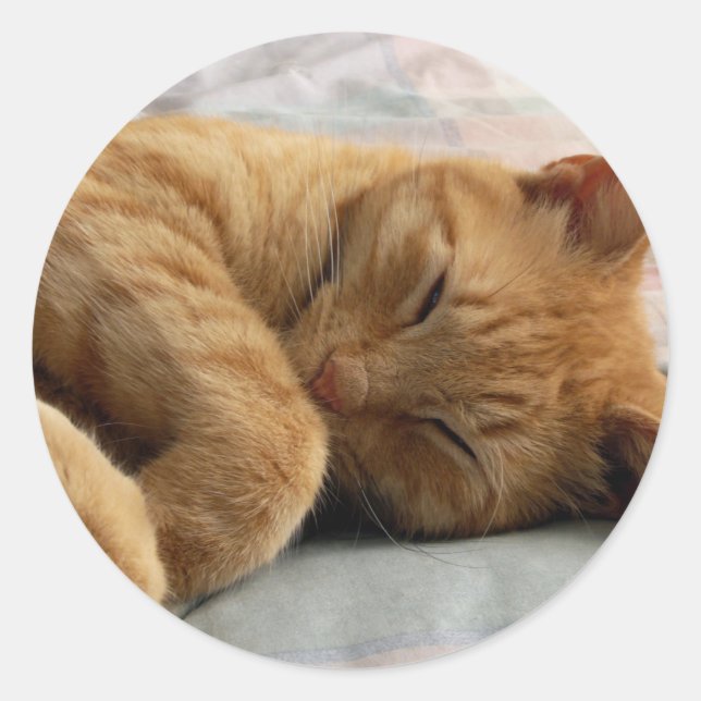 Adesivo Redondo Doces Sonhos (Frente)