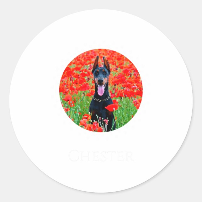 Adesivo Redondo Dog Photo Shirt D Pet Gift  (Frente)