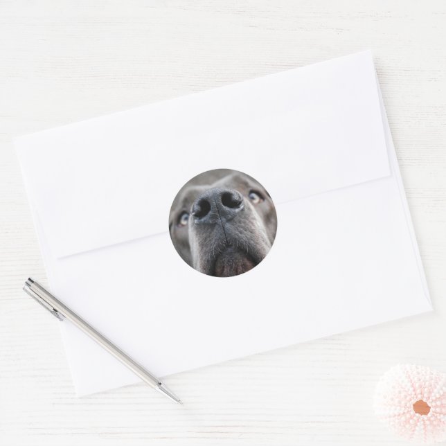 Adesivo Redondo Doggennase (Envelope)