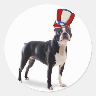 Adesivo Redondo Dogs~Original Ditzy Sticker~Boston Terrier