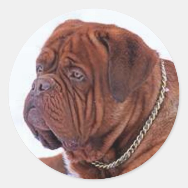 Adesivo Redondo Dogue De Bordeaux (Frente)