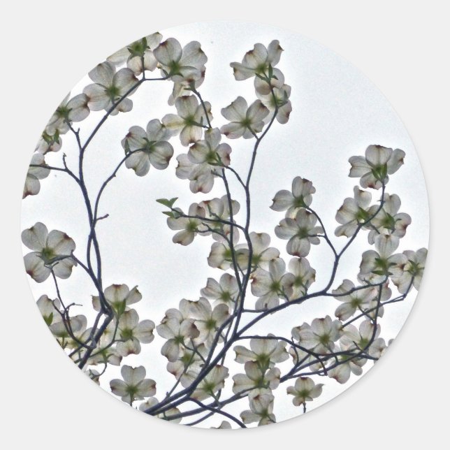 Adesivo Redondo Dogwood Flor Branco (Frente)