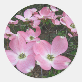 Adesivo Redondo Dogwood Rosa