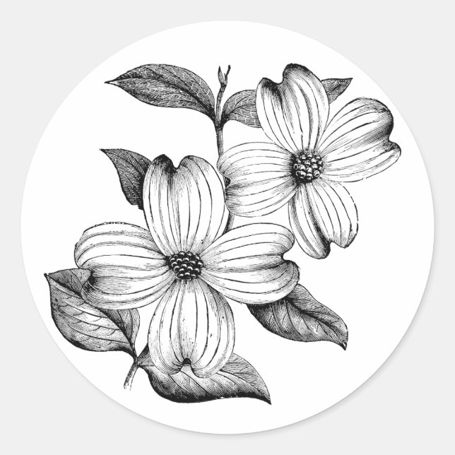 Adesivo Redondo Dogwood Sticker (Frente)
